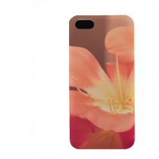 PVC гръб - 3d за Apple iPhone 5 - Flower 2016 3