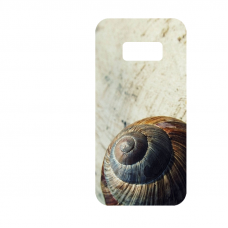 Силиконов гръб за Samsung Galaxy S8 - Seashell