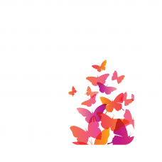Силиконов гръб за Huawei Nova - Butterflies