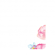 Силиконов гръб за Huawei Nova - flower2