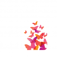 Силиконов гръб за Huawei Nova Plus - Butterflies