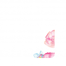 Силиконов гръб за Huawei Nova Plus - flower2